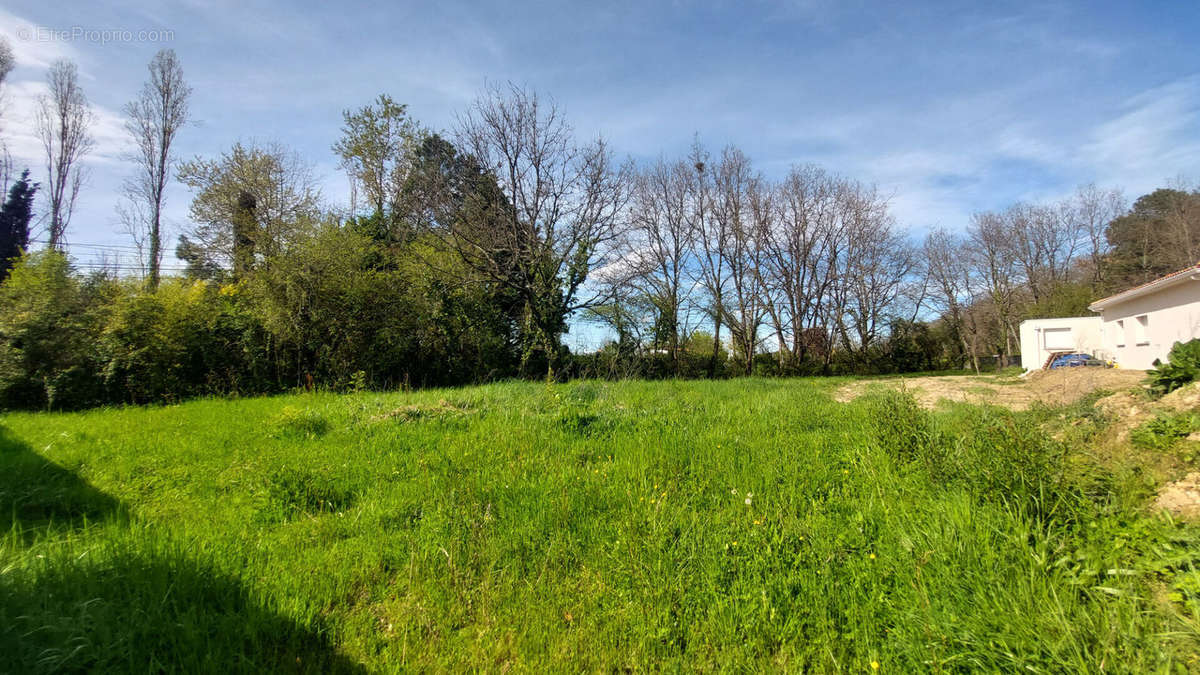 Terrain à FRONTON