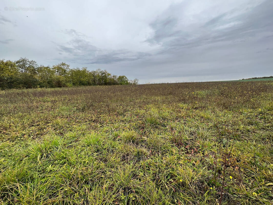 Terrain à HENNECOURT