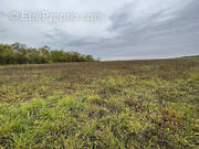 Terrain à HENNECOURT