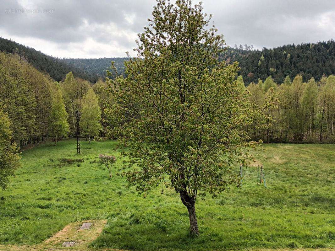 Maison à LES ROUGES-EAUX