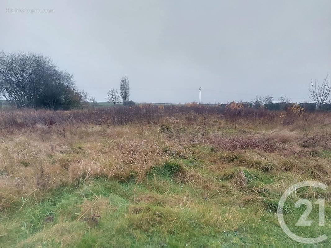 Terrain à LOUAN-VILLEGRUIS-FONTAINE