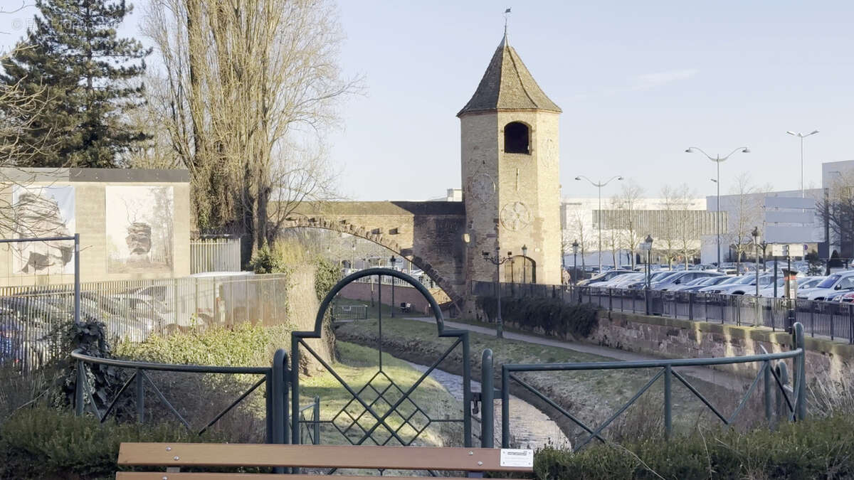 Commerce à HAGUENAU