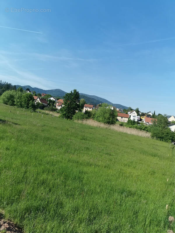 Terrain à LEIMBACH