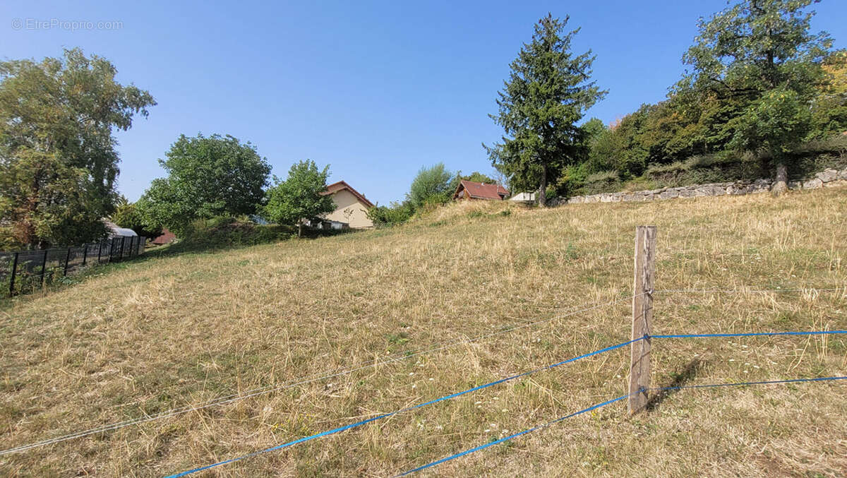 Terrain à MONTANGES