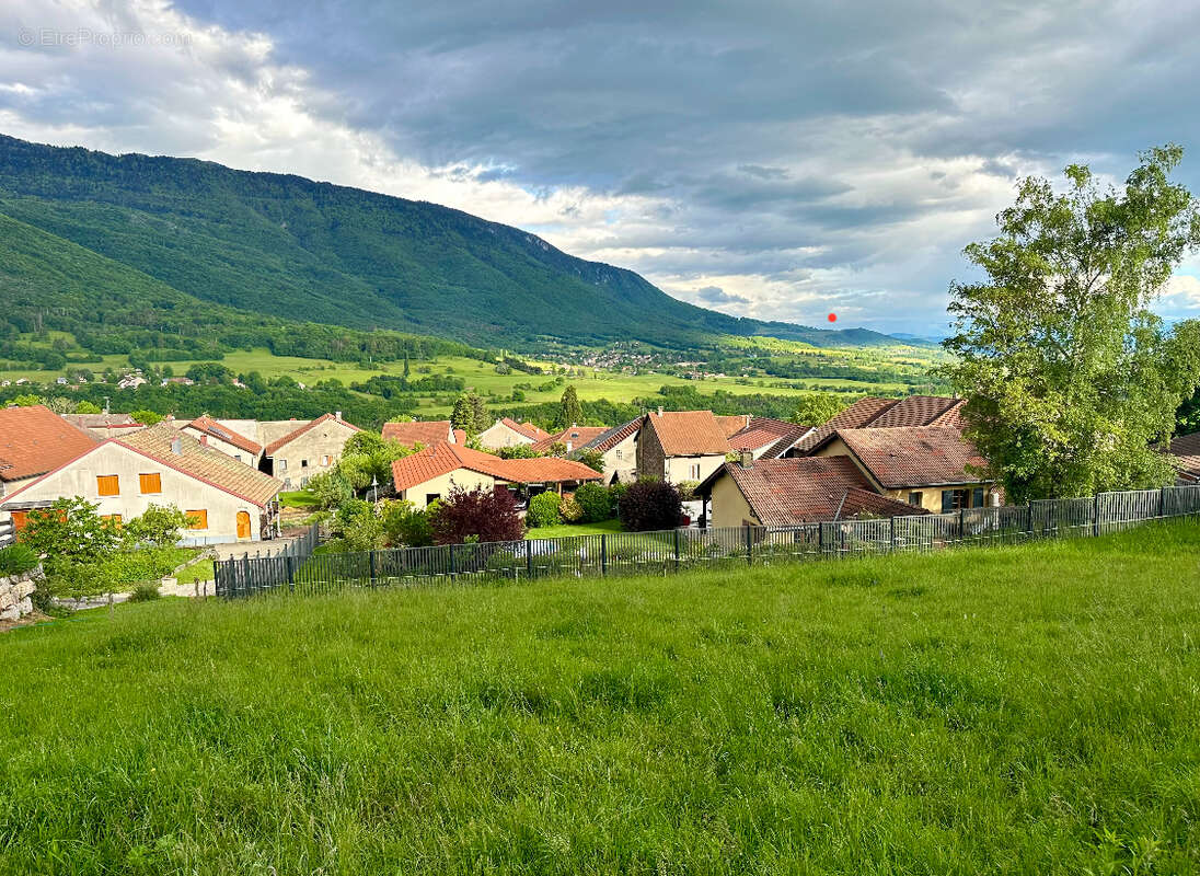 Terrain à MONTANGES