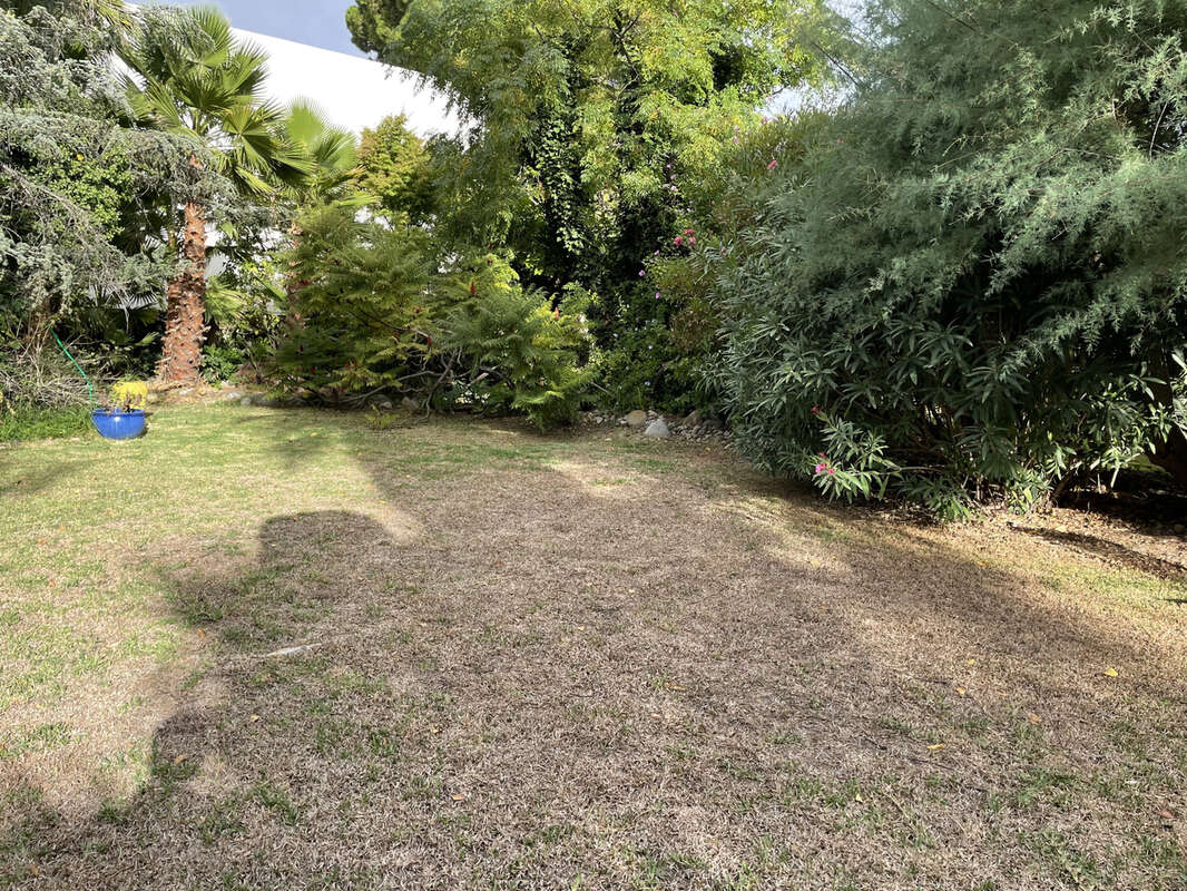 Terrain à CABESTANY