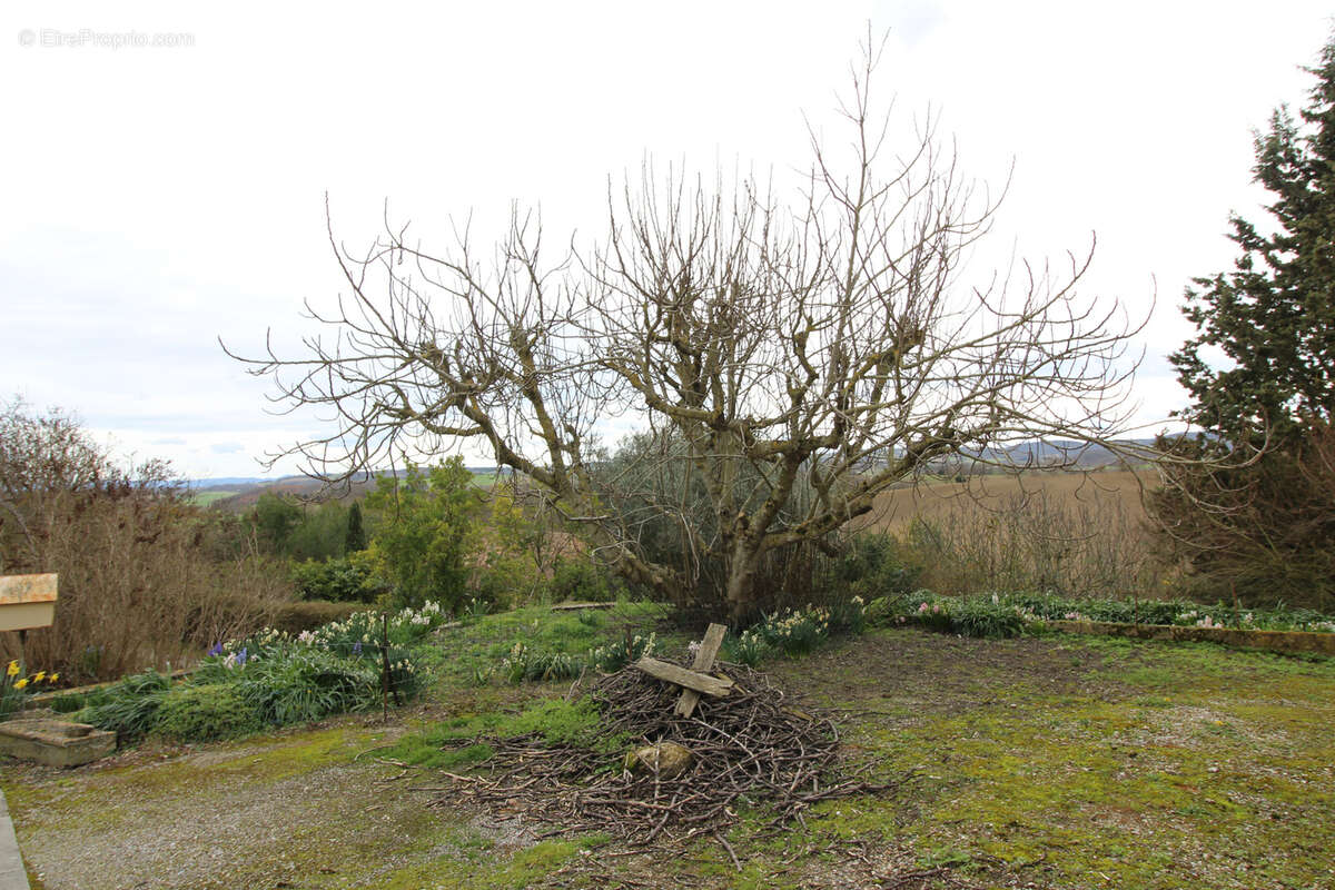 Maison à MONTGRADAIL