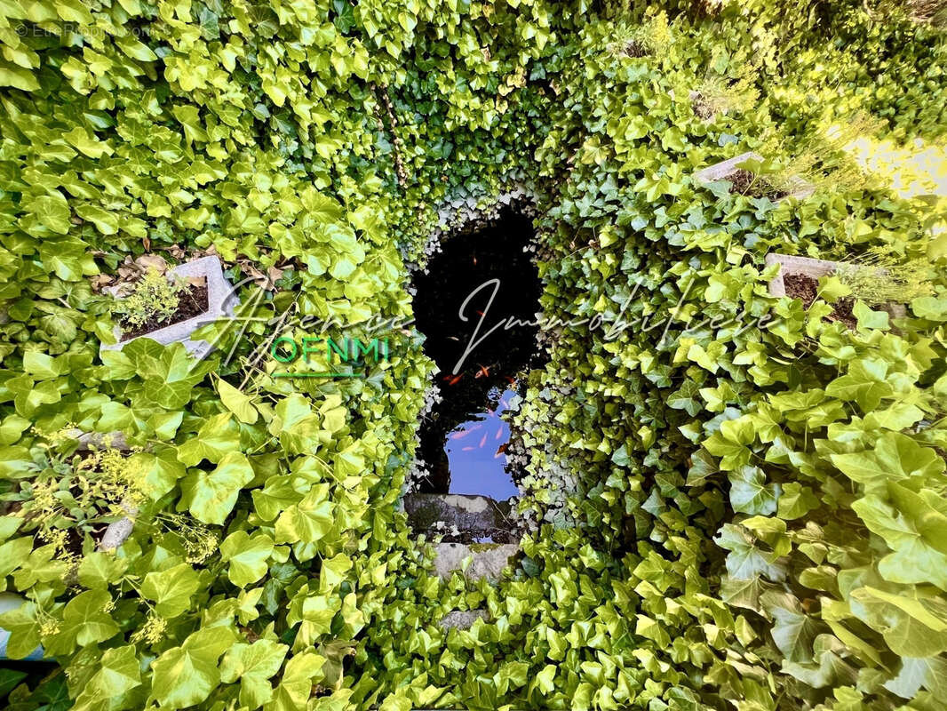 Maison à MONTBRISON