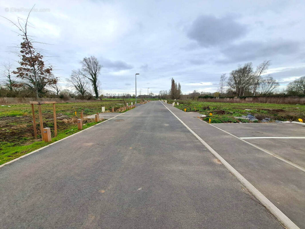 Terrain à FLINES-LEZ-RACHES