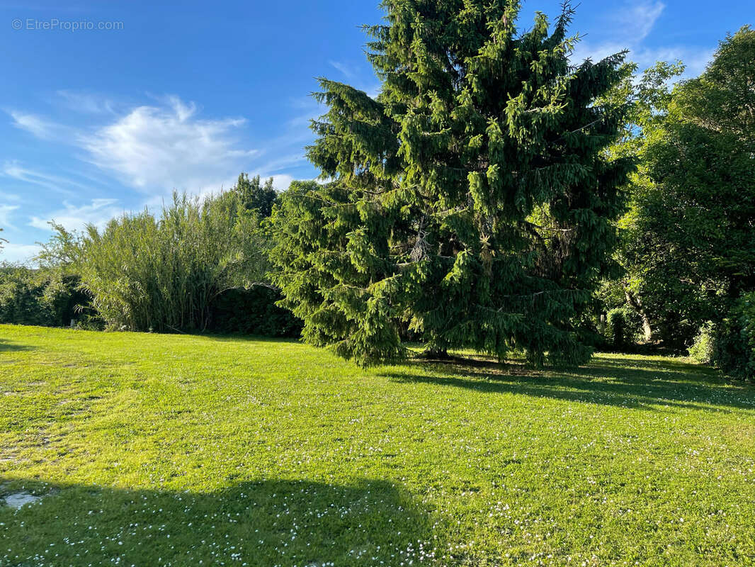 Terrain à BOUTENAC-TOUVENT