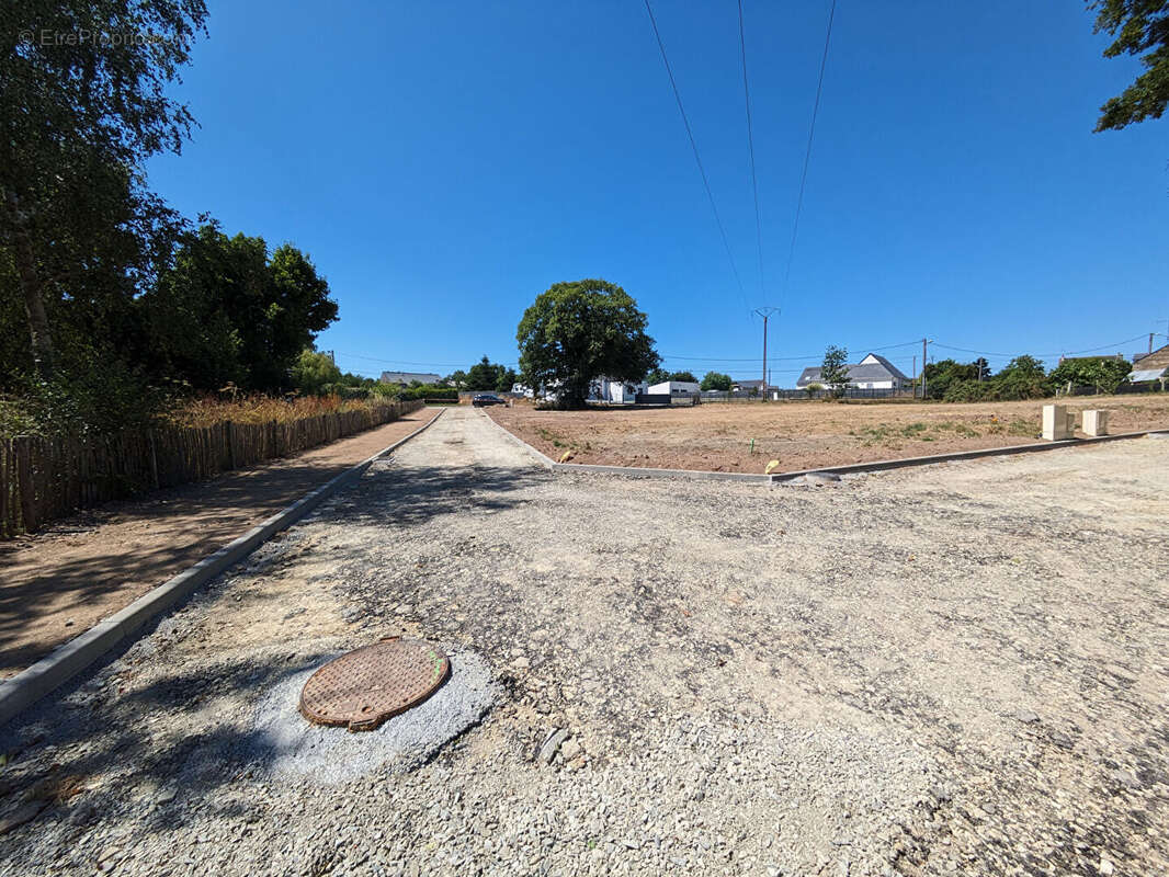 Terrain à SAINT-DOLAY