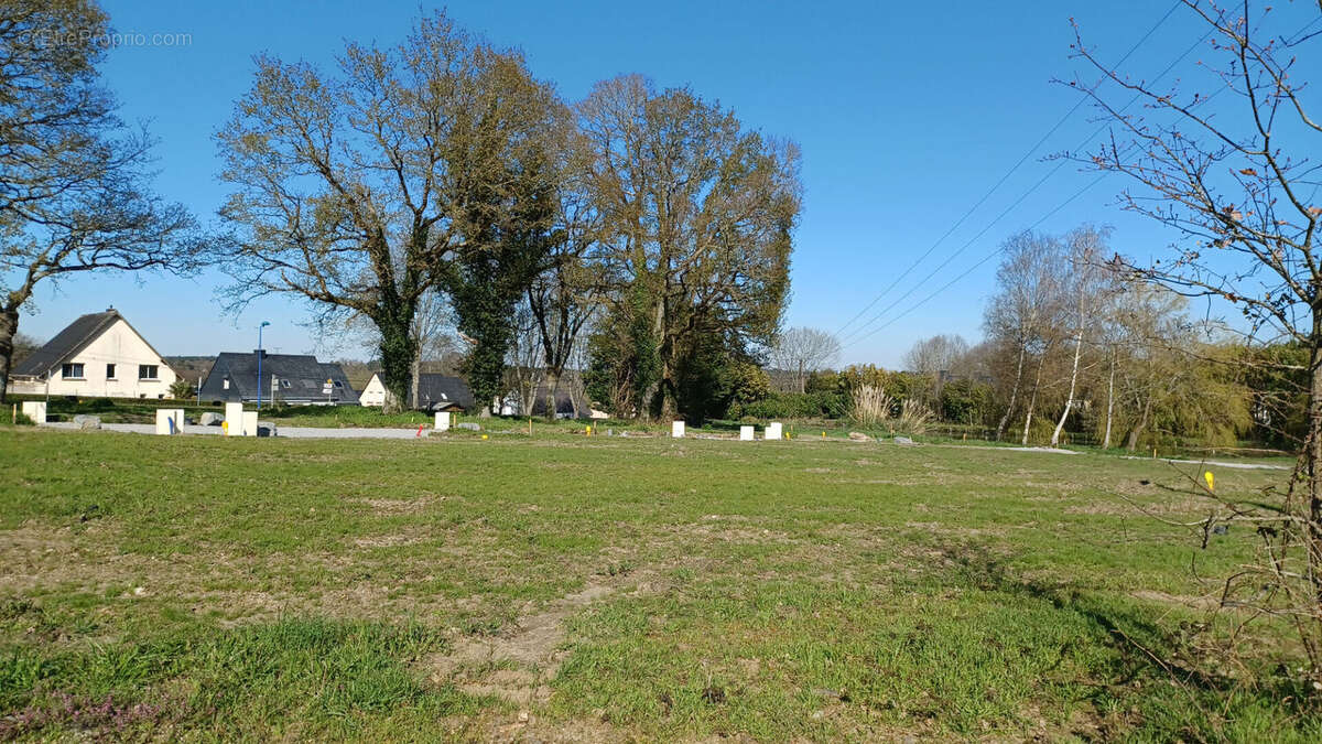 Terrain à SAINT-DOLAY