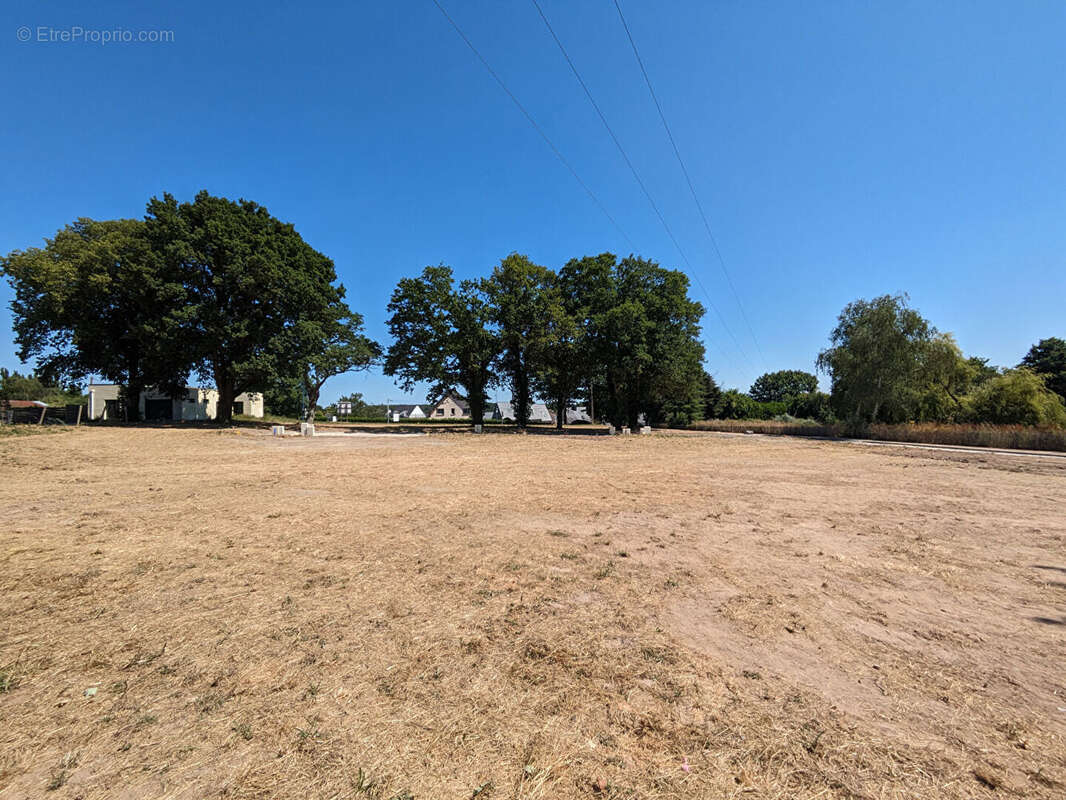Terrain à SAINT-DOLAY