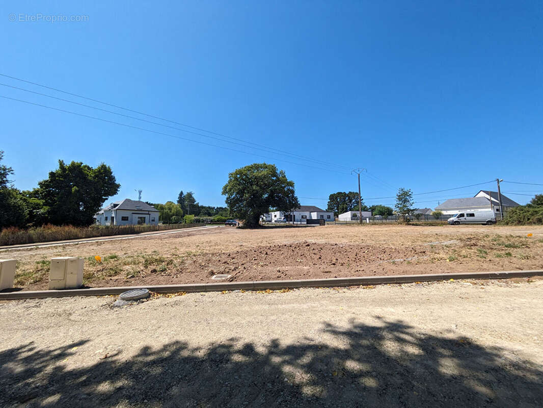 Terrain à SAINT-DOLAY