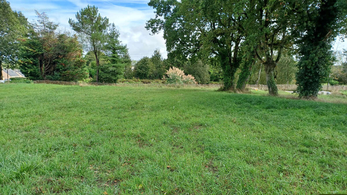 Terrain à SAINT-DOLAY