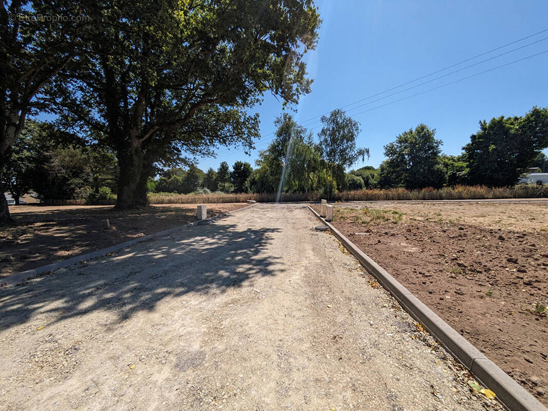 Terrain à SAINT-DOLAY