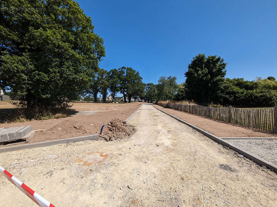 Terrain à SAINT-DOLAY