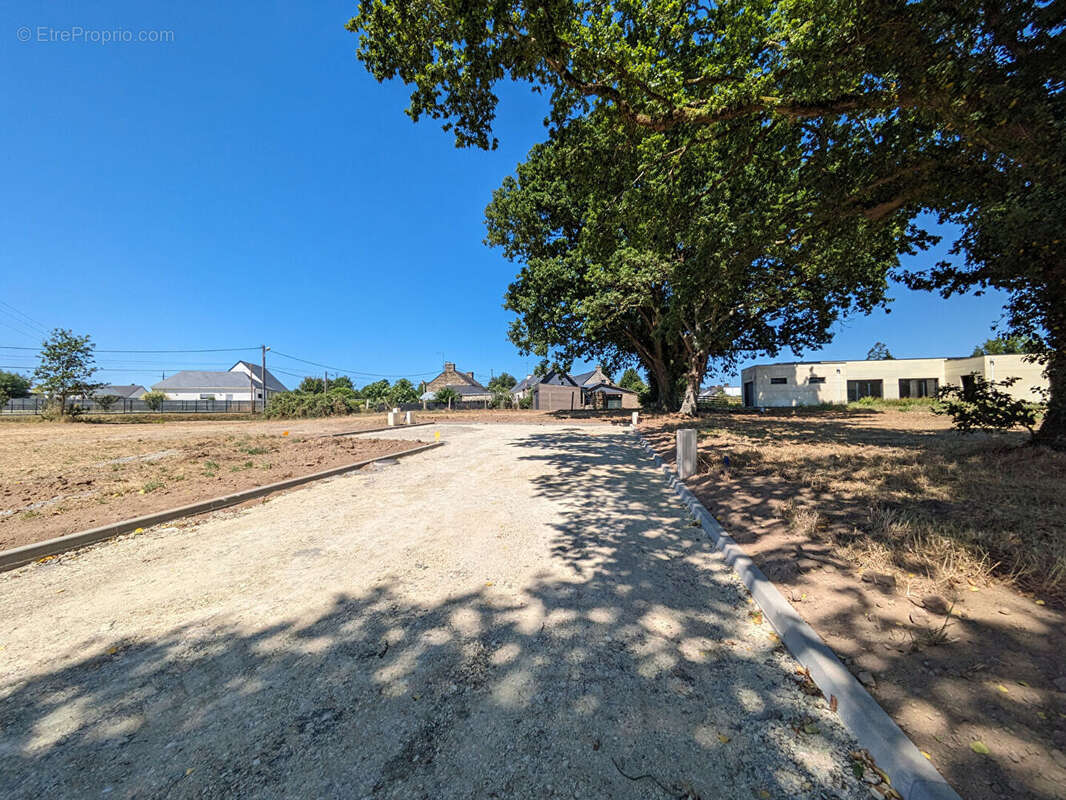 Terrain à SAINT-DOLAY