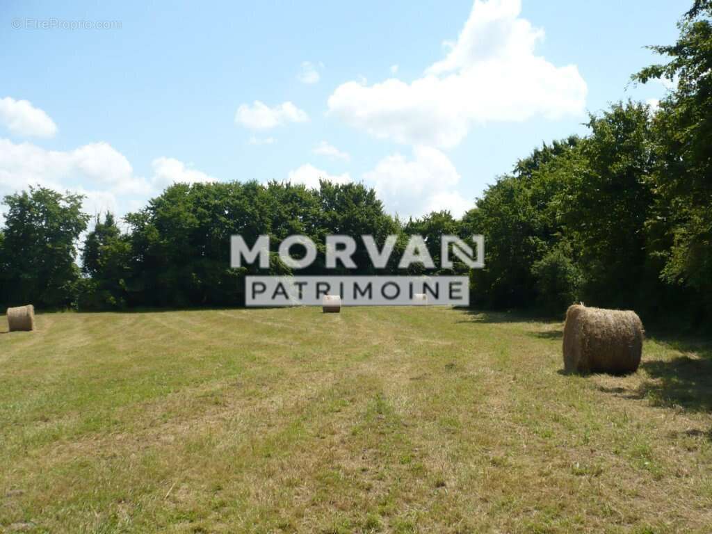 Terrain à CRUX-LA-VILLE