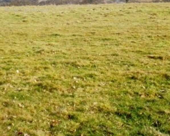 Terrain à CRUX-LA-VILLE