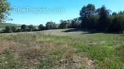 Terrain à SEVERAC-LE-CHATEAU
