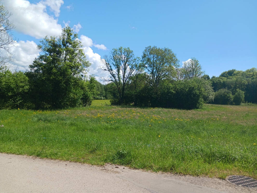 Terrain à DOMPAIRE
