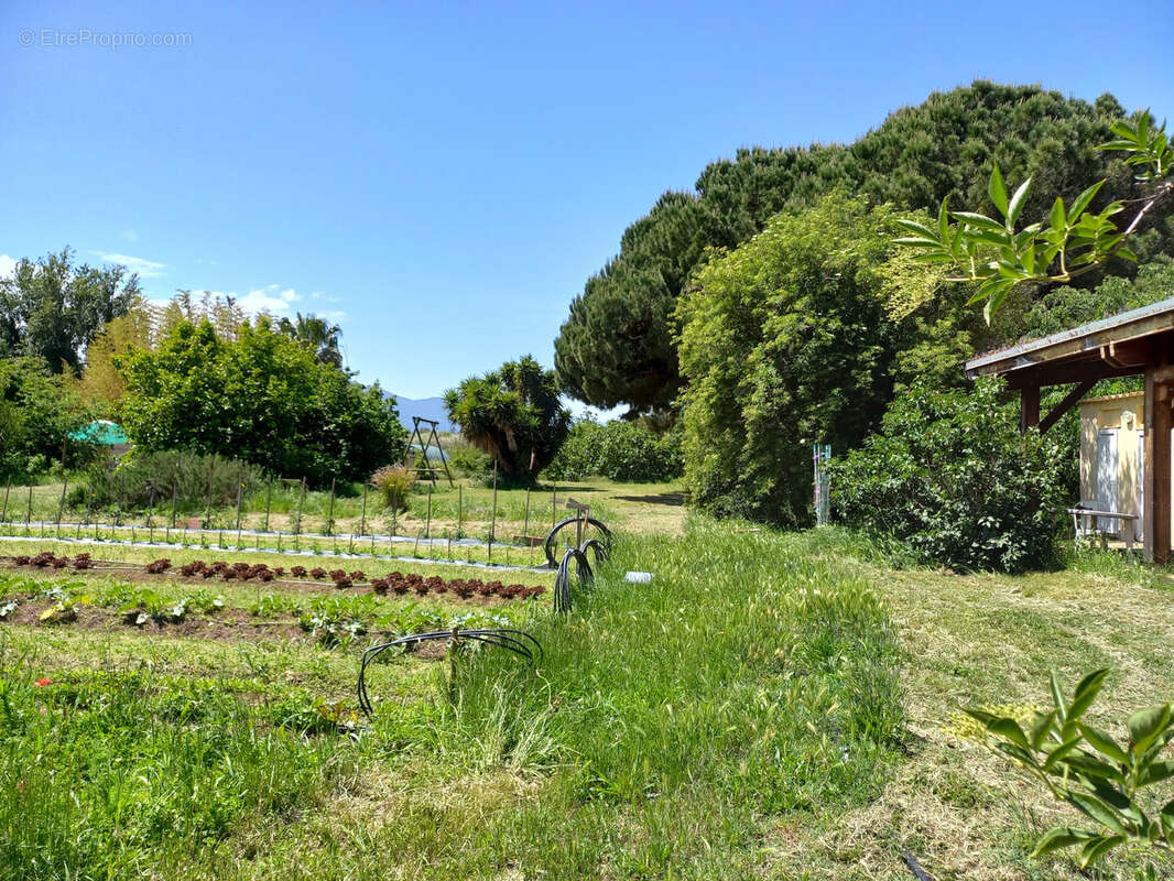 Maison à PALAU-DEL-VIDRE