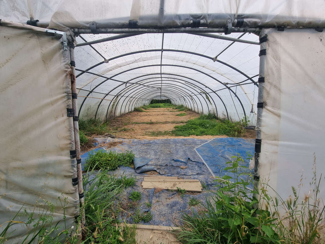 Maison à PALAU-DEL-VIDRE