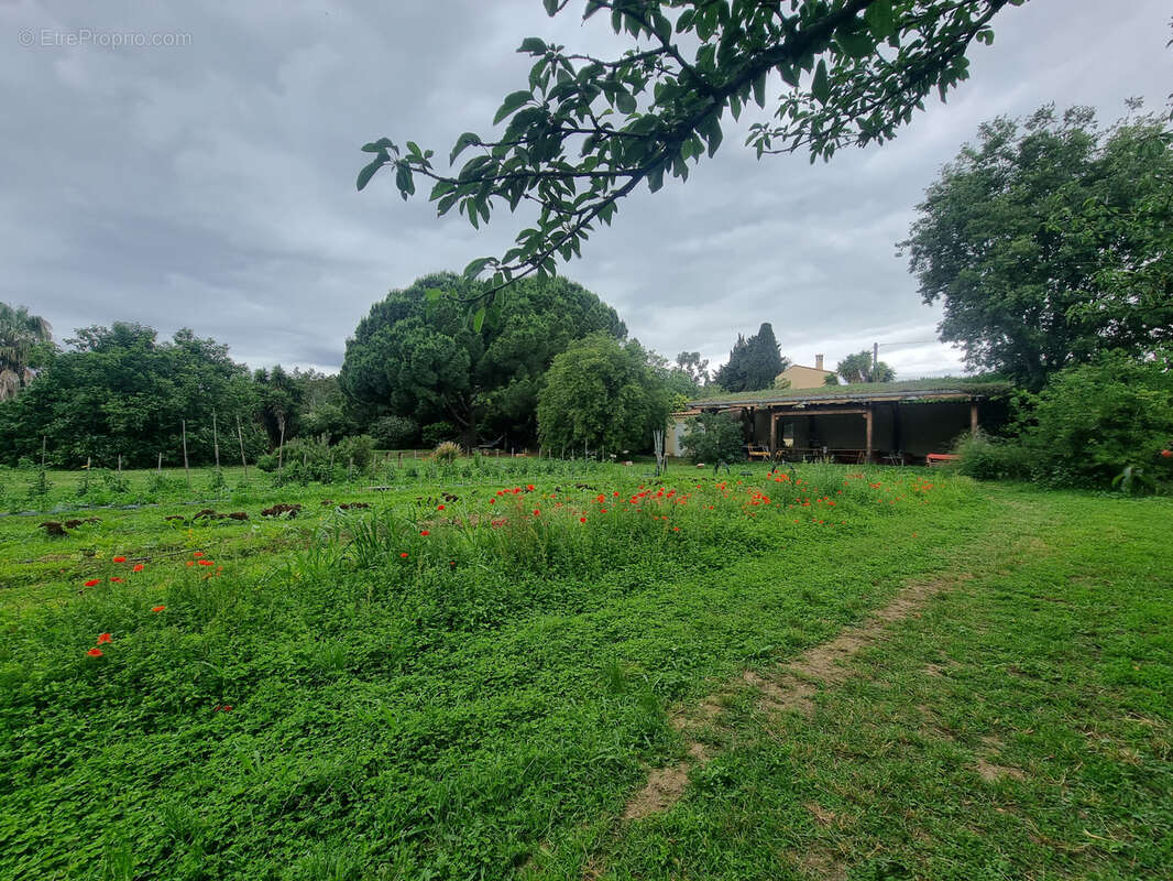 Maison à PALAU-DEL-VIDRE