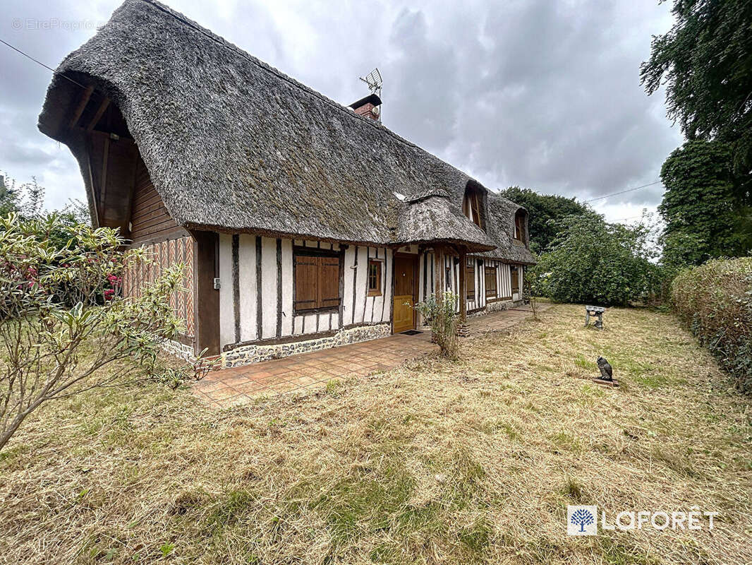 Maison à FAUVILLE-EN-CAUX