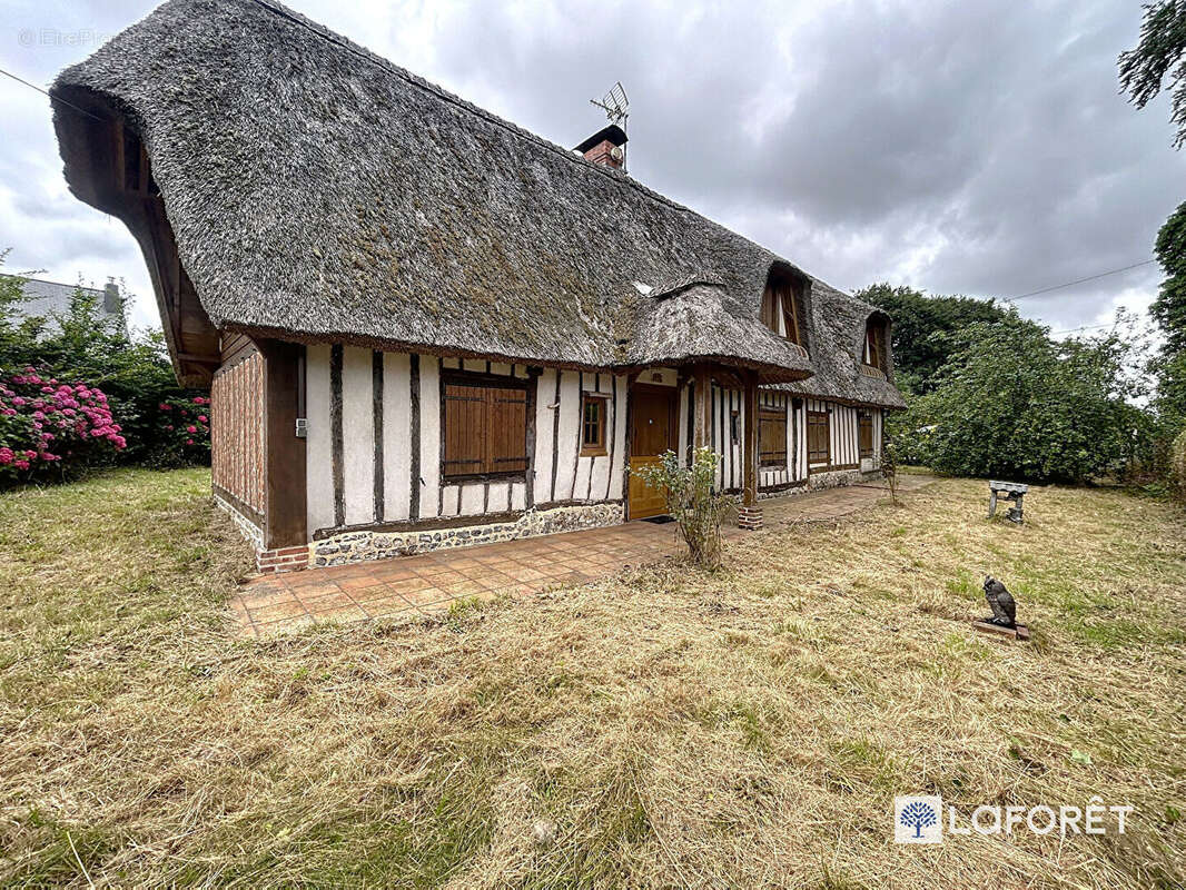Maison à FAUVILLE-EN-CAUX