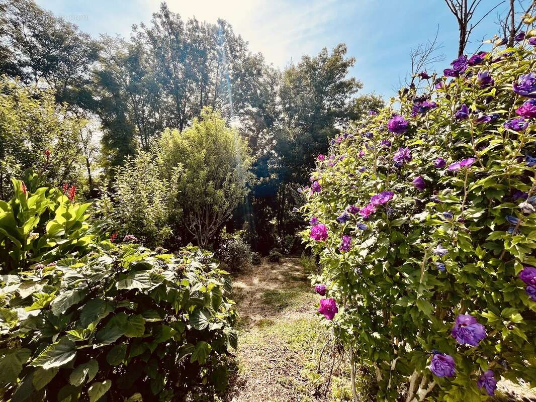 Maison à LALANDUSSE