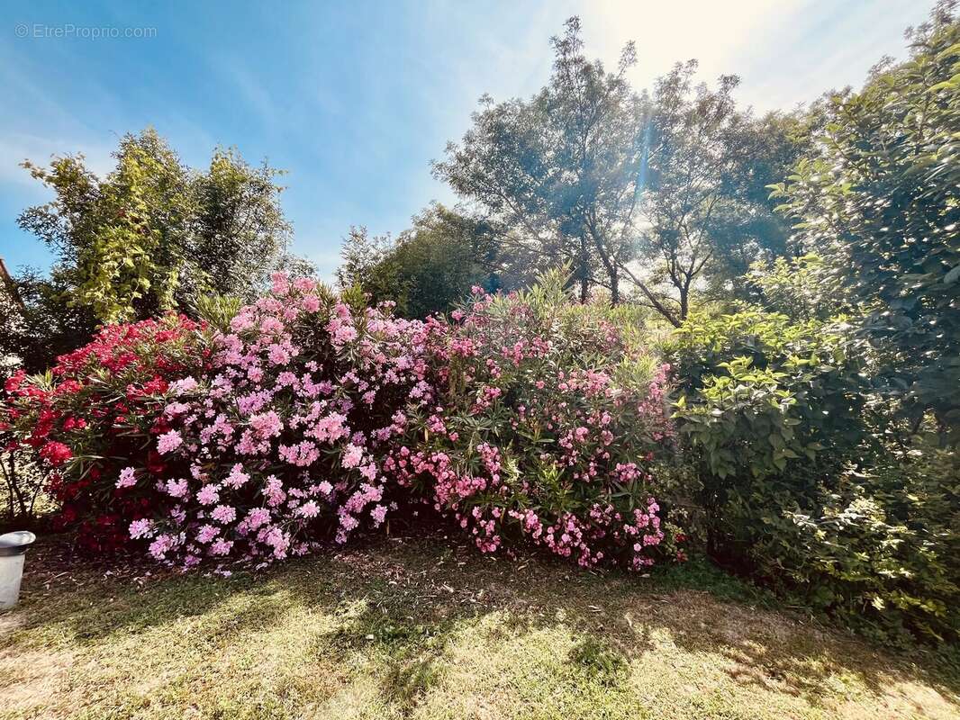 Maison à LALANDUSSE