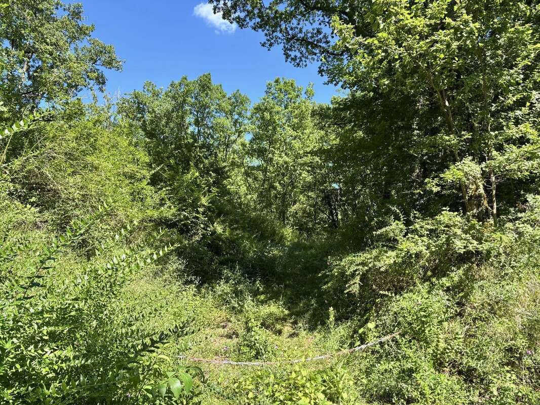 Terrain à MONTLAUZUN