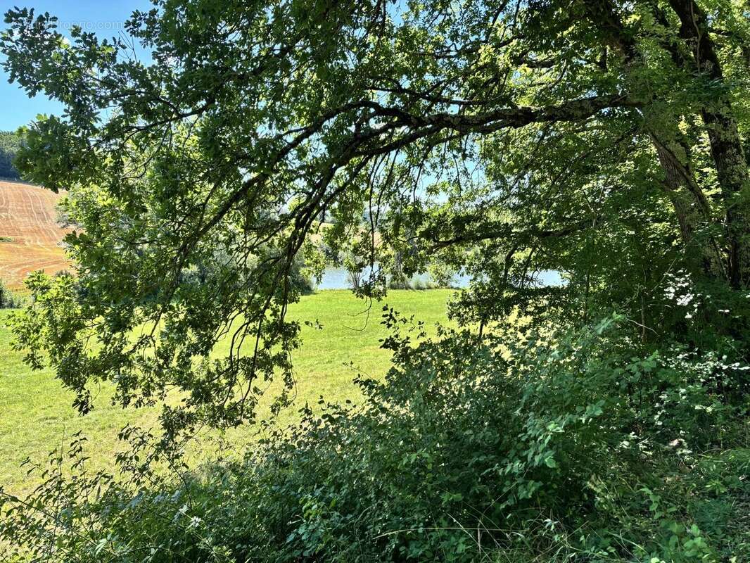 Terrain à MONTLAUZUN