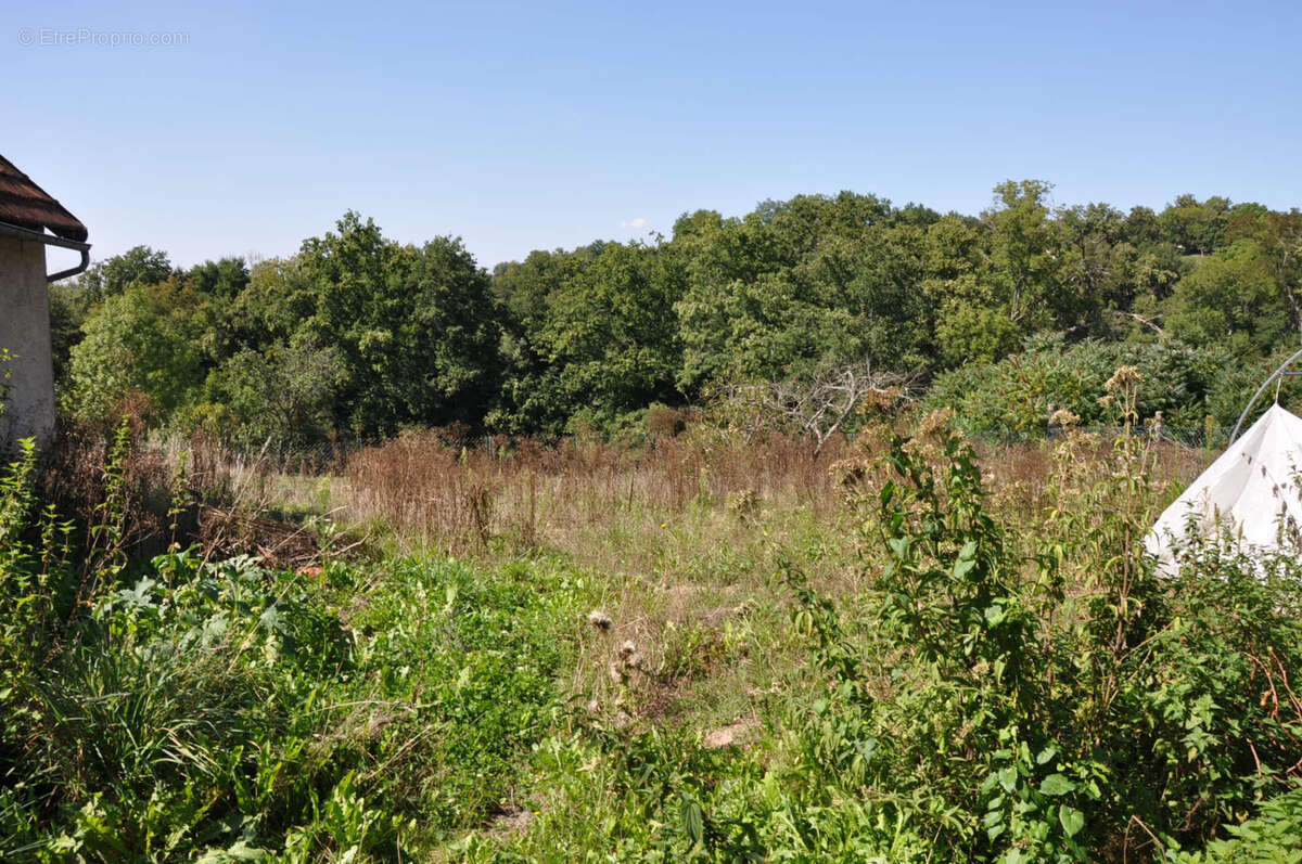 Maison à NIZEROLLES