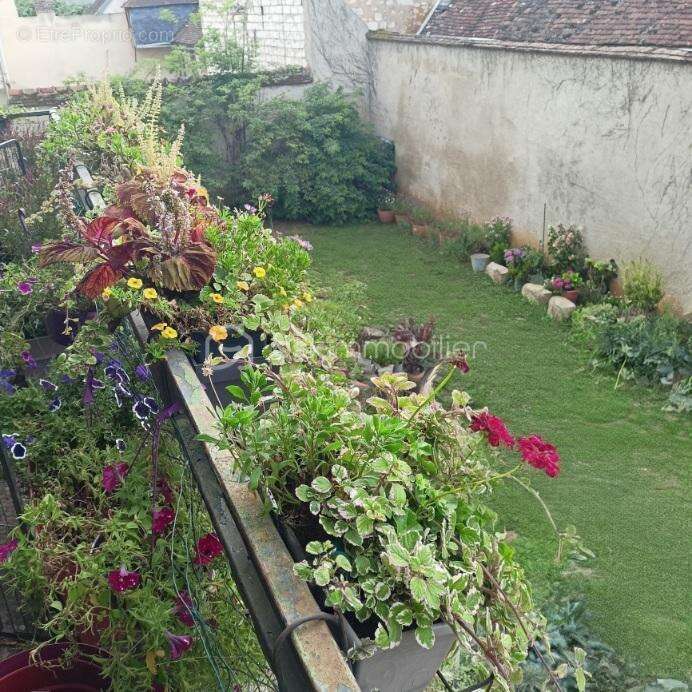 Maison à VILLENEUVE-L&#039;ARCHEVEQUE