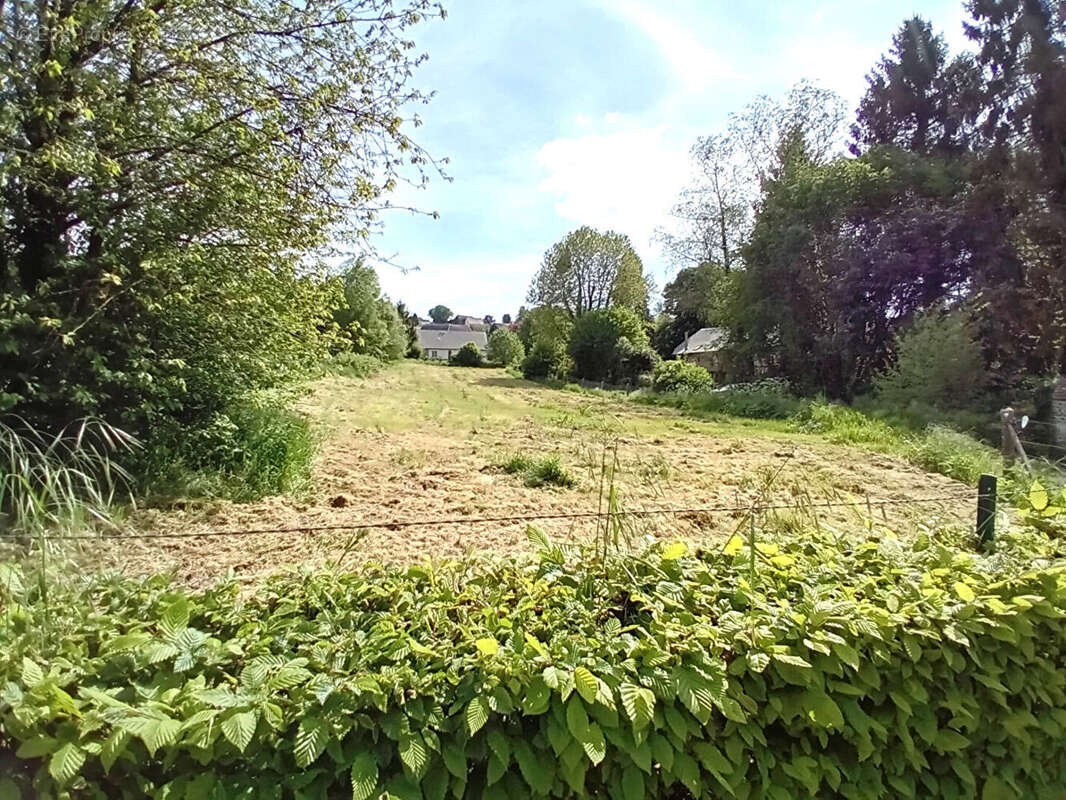 Terrain à SAINT-GERMAIN-SOUS-CAILLY