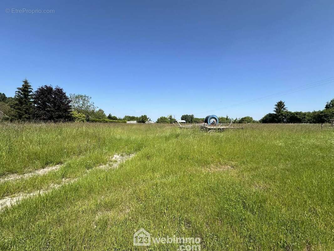 Tous les réseaux sont à proximité - Terrain à SISSONNE