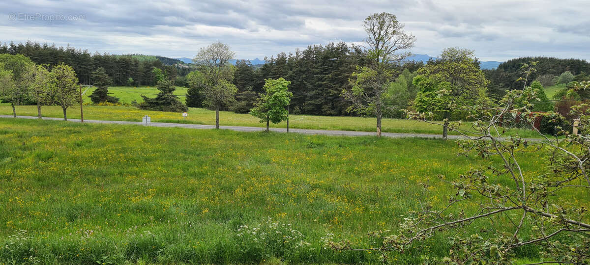 Maison à SAINT-AGREVE