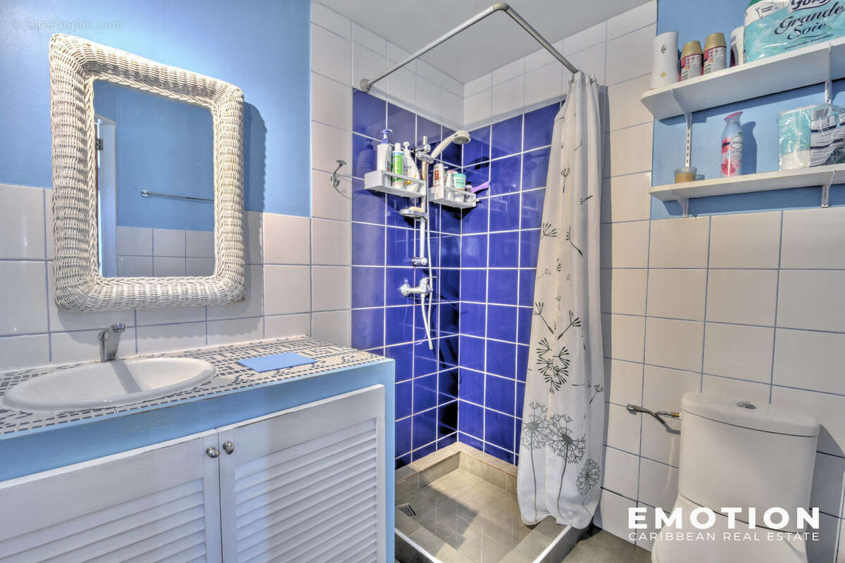 Maison à CAPESTERRE-BELLE-EAU