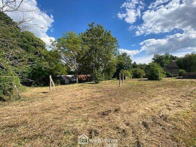 A vendre , terrain à viabiliser ! - Terrain à REAUMUR