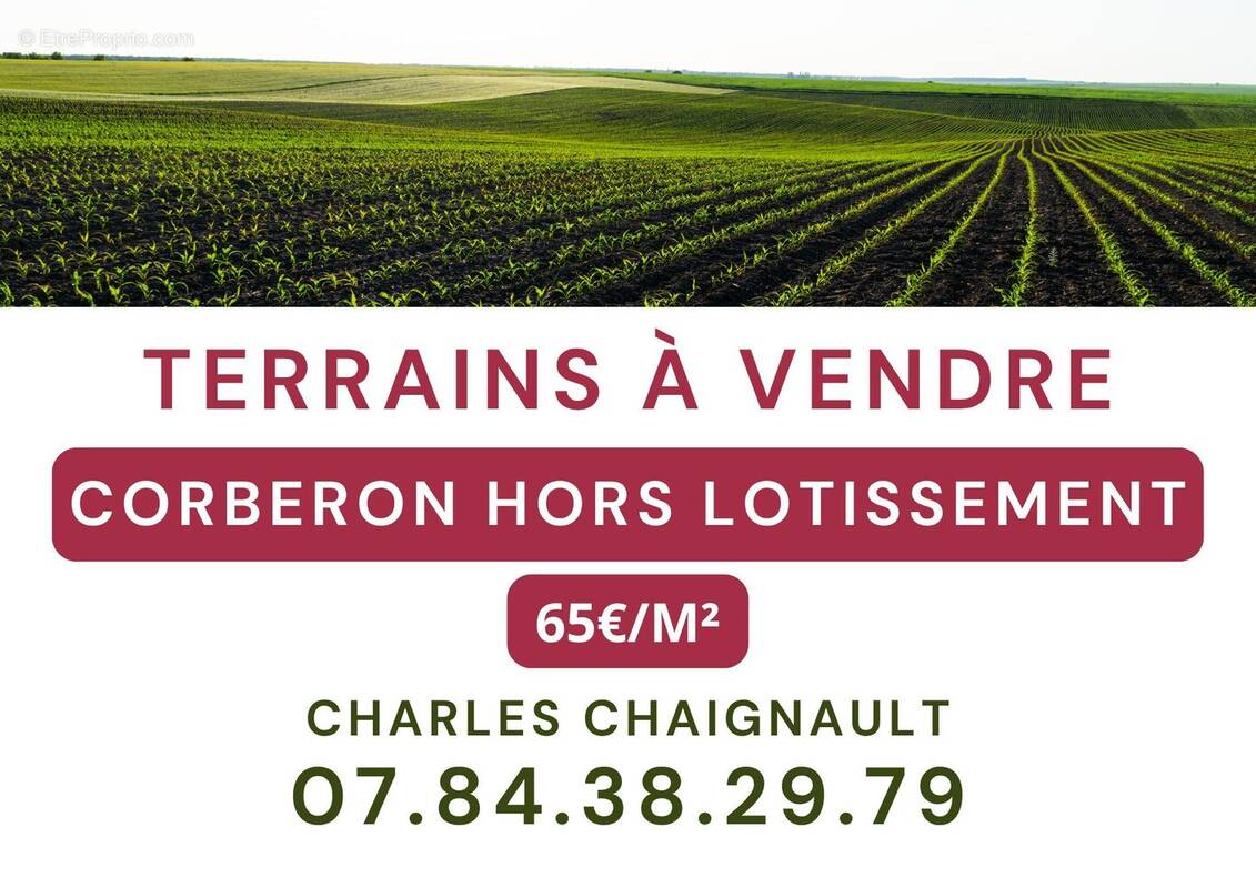 Terrain à CORBERON