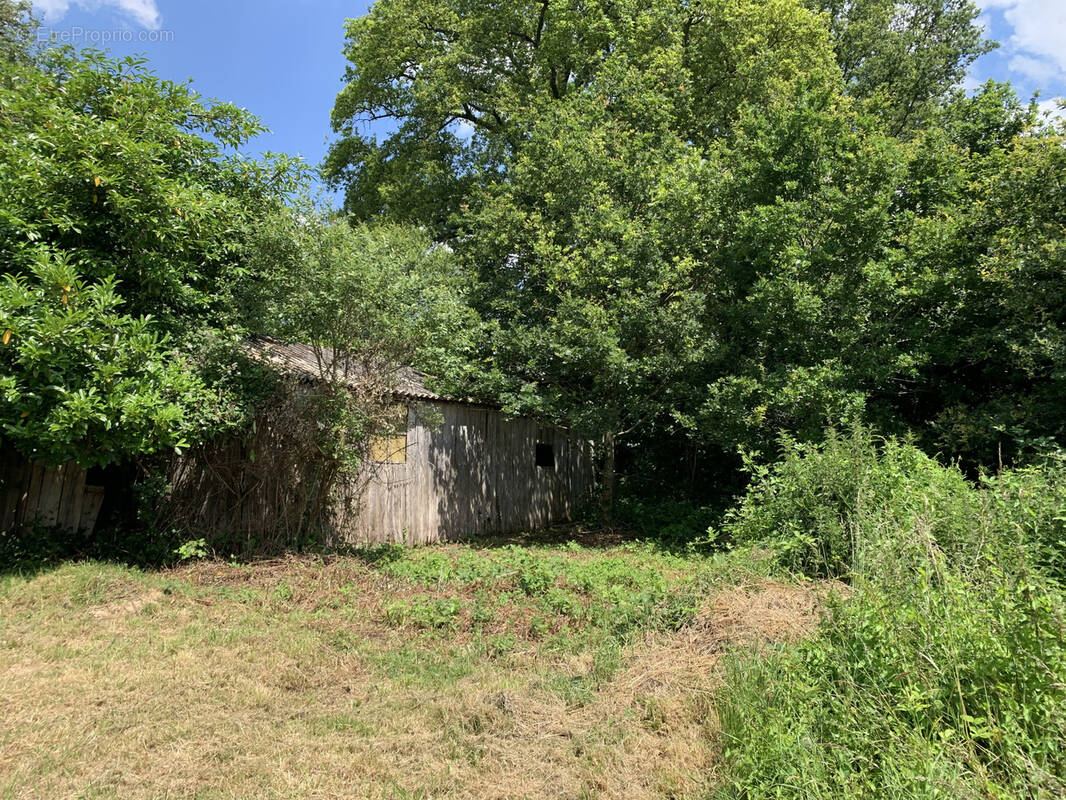 Terrain à CHANTRIGNE