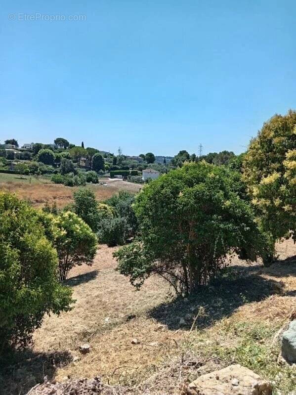 Terrain à MOUGINS