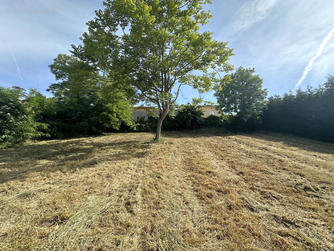 Terrain à THURINS