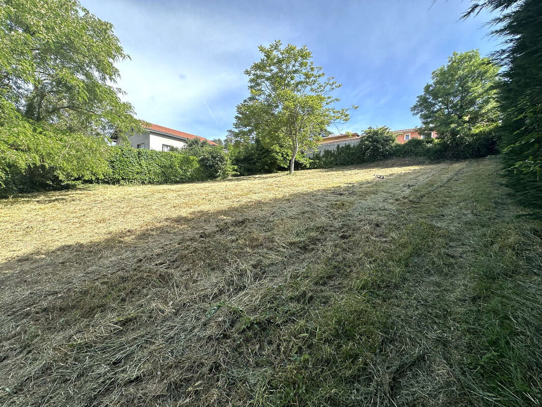 Terrain à THURINS