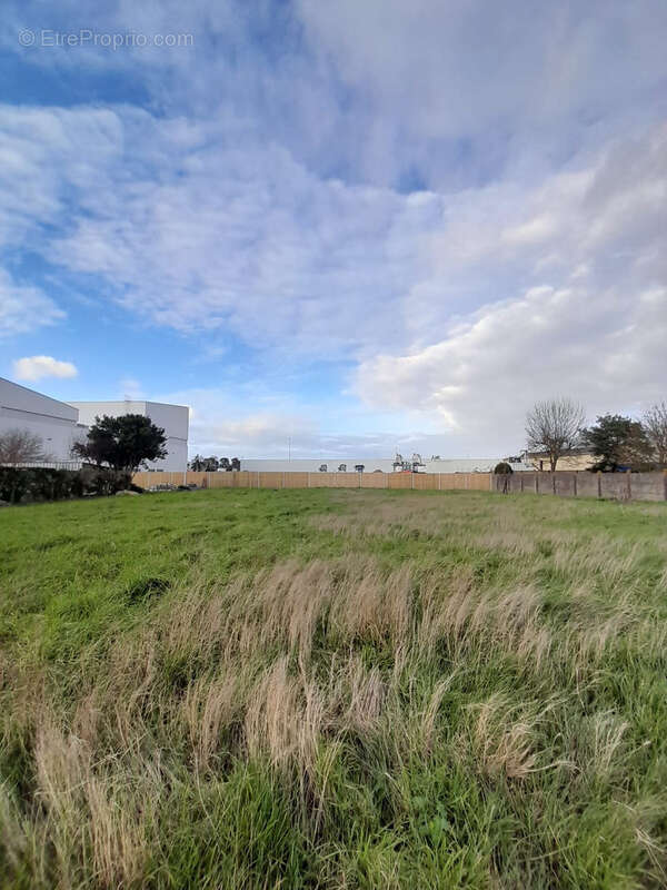 Terrain à SAINT-GEREON