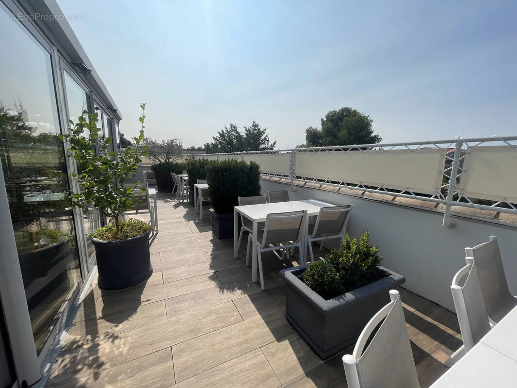 Commerce à PLAN-DE-CUQUES