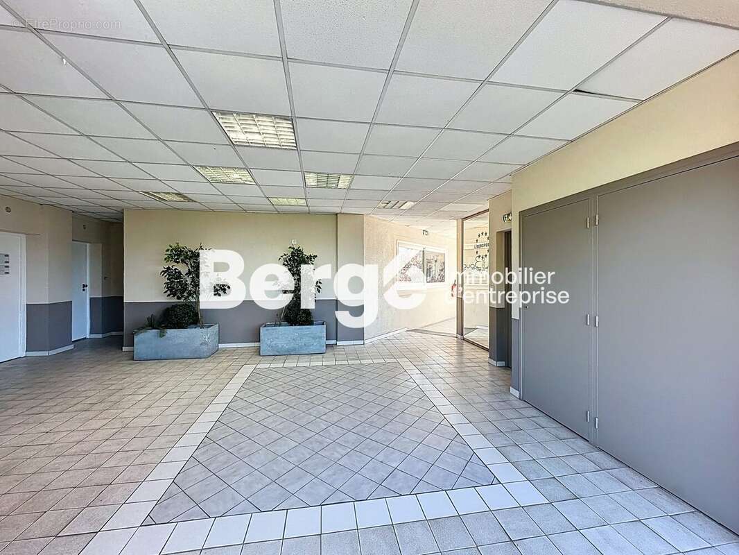 Commerce à LE CANNET